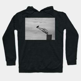 The Art Critic Hoodie